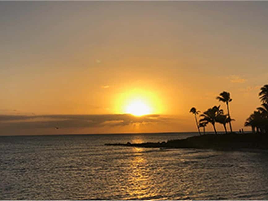 Naples: Catamaran Cruises with Wildlife Views - Sunset on the Gulf and the green flash