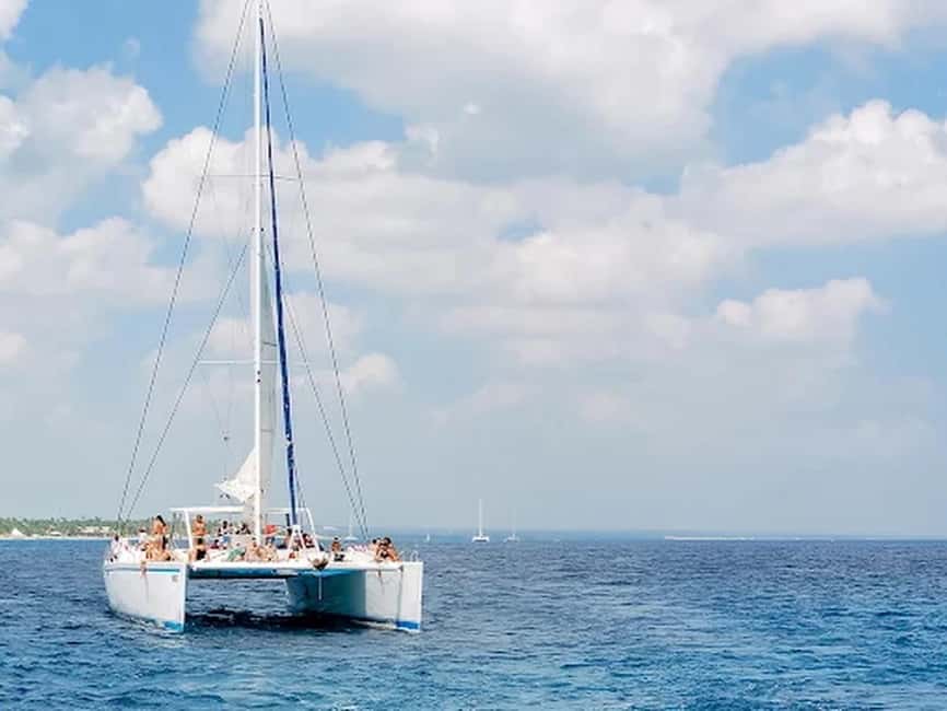 Naples: Catamaran Cruises with Wildlife Views - Afternoon sightseeing through Naples Bay
