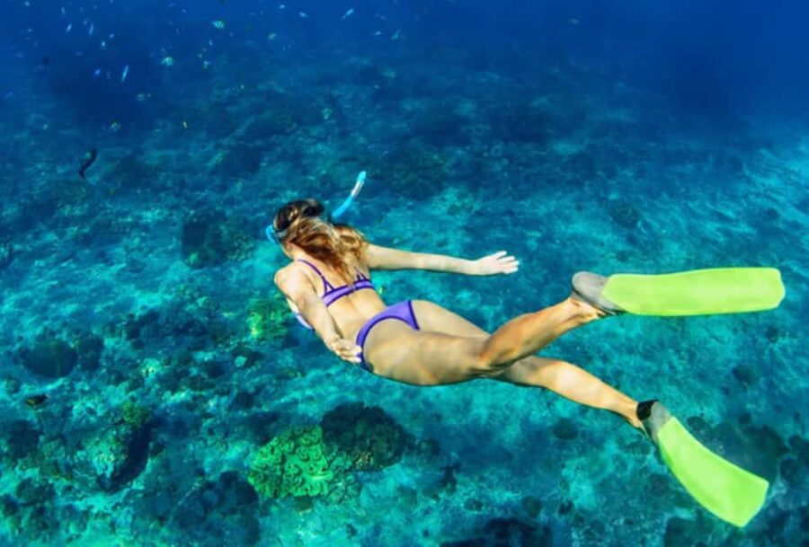 Nassau: Catamaran Sail and Snorkel Tour - The reef stop near Athol Island or Spruce Cay