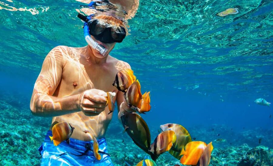Nassau: Catamaran Sail and Snorkel Tour - The return ride brings music and drinks
