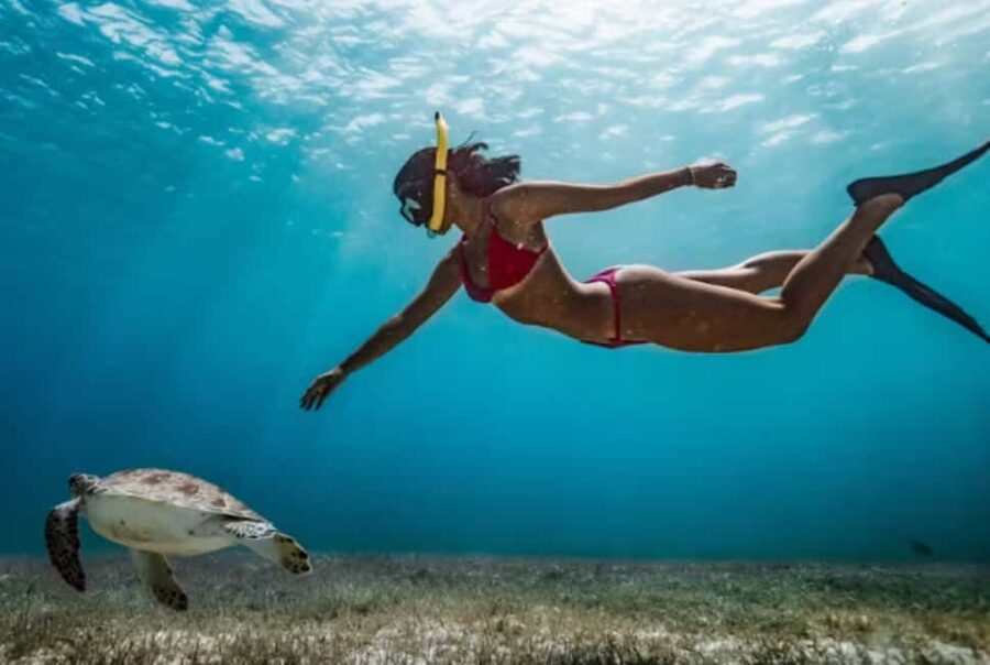 Nassau: Catamaran Sail and Snorkel Tour - Should you book the catamaran sail and snorkel tour?