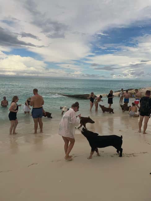 Nassau: Full-Day Party Catamaran with Private Beach & Lunch - Booking Details Worth Knowing Before You Go