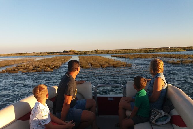 Nature Catamaran Tour from Faro - A gentle start in Faro’s marina