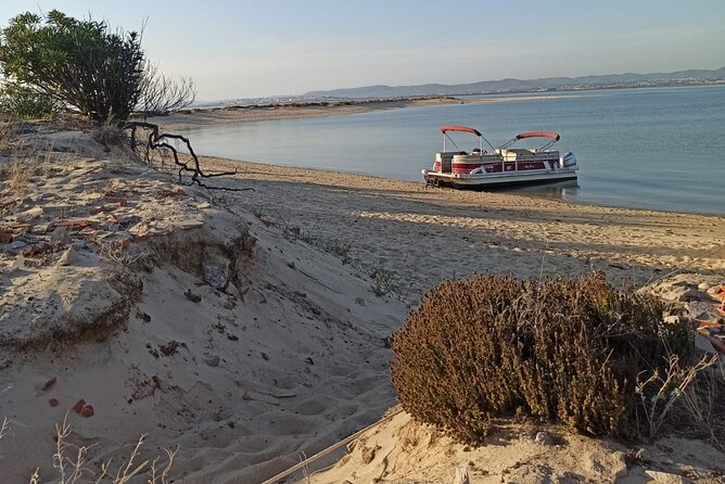 Nature Catamaran Tour from Faro - Ria Formosa from the water