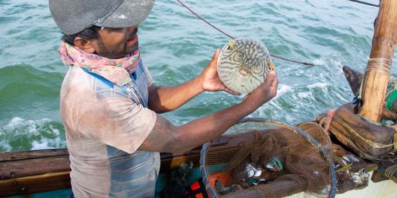 Negombo: Catamaran Sailing with Traditional Fishermen - From your hotel to Negombo’s fishing harbor