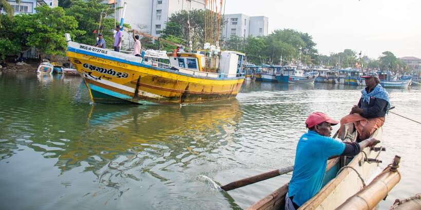 Negombo: Catamaran Sailing with Traditional Fishermen - Seeing traditional net fishing at work