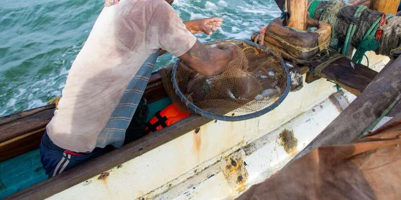 Negombo: Catamaran Sailing with Traditional Fishermen - How the $132 price makes sense