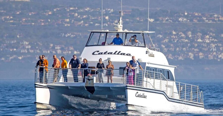 Newport Beach: Luxury Whale Watching Catamaran Cruise - A roomy catamaran with room to move
