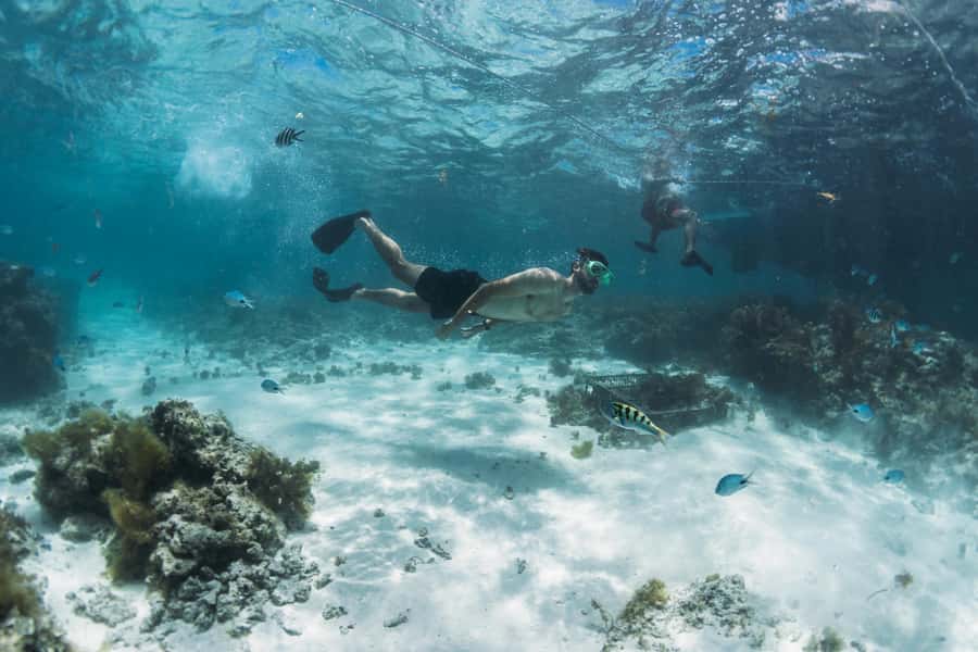North East of Mauritius: Catamaran Cruise w/ BBQ Lunch - Mangroves, cocktails, and a slower pace