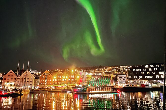 Northern Light Cruise With Luxury Catamaran in Tromso, Norway - Who will enjoy this Tromsø night cruise?