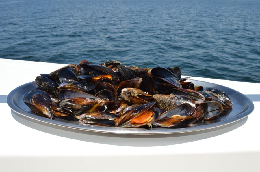 O Grove: Ría de Arousa Catamaran Tour with Seafood Lunch - The beach stop and swimming break