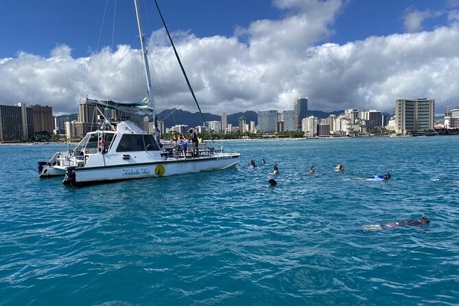 Oahu Catamaran Snorkel Tour: See Turtles 100% Guaranteed - Turtle Canyon delivers the main reason to book