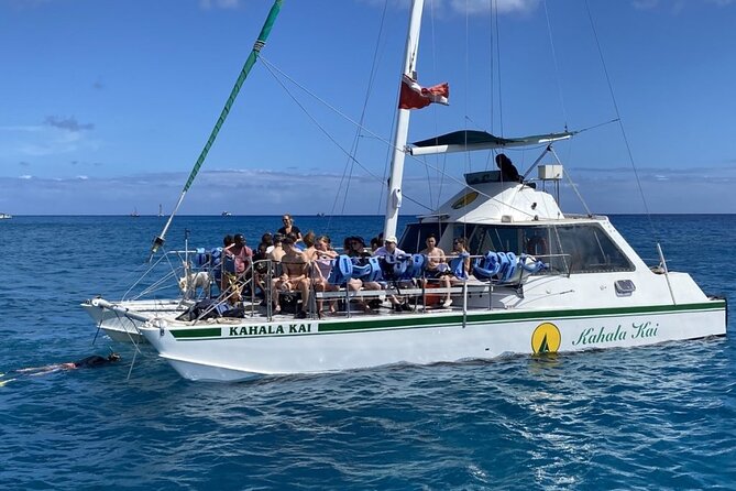 Oahu Catamaran Snorkel Tour: See Turtles 100% Guaranteed - Practical details that make the day easier