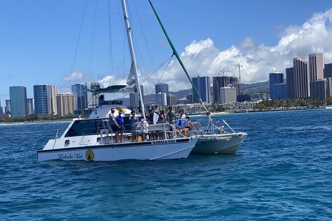 Oahu Catamaran Snorkel Tour: See Turtles 100% Guaranteed - The wildlife goes beyond sea turtles