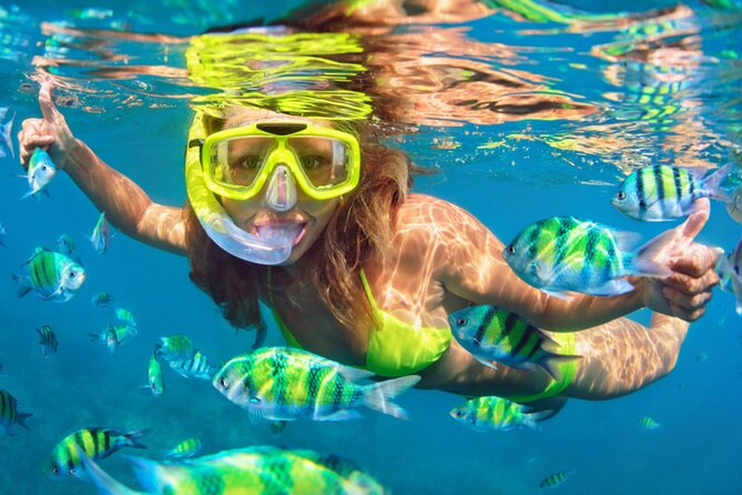 Ocean Catamaran Cruise Ibiza with Unlimited Drinks and BBQ - Sailing along Ibiza’s southwest coast