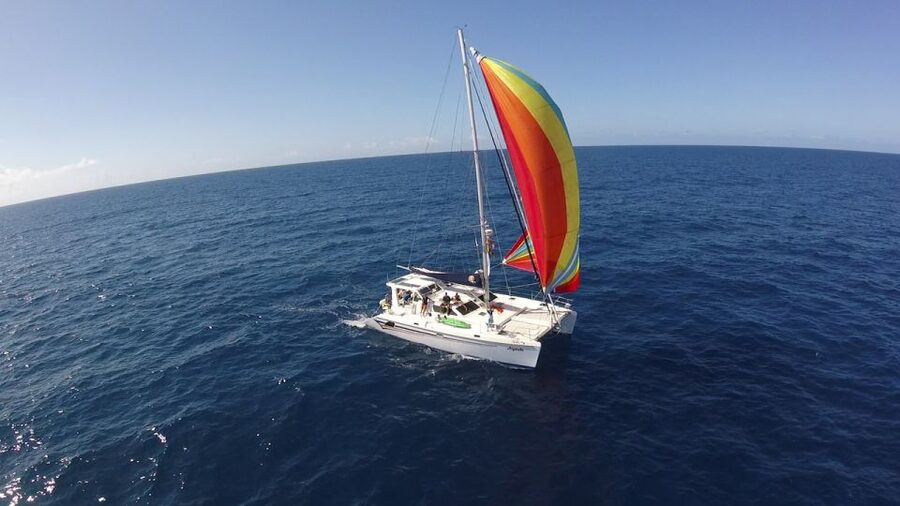 Ocean City: Sailing Catamaran Cruise with Crew - Key points before you book