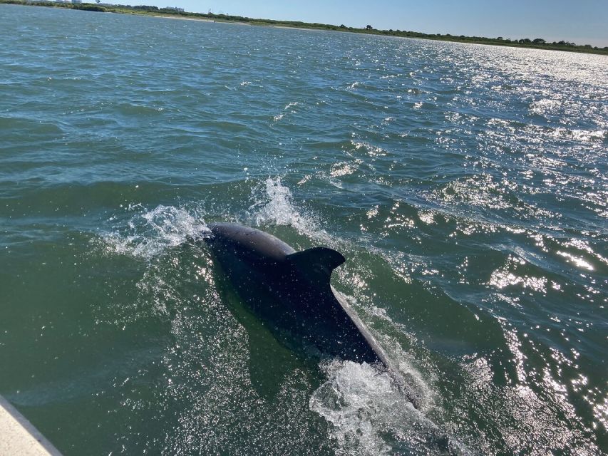 Ocean City: Sailing Catamaran Cruise with Crew - How comfortable is a two-hour catamaran ride?