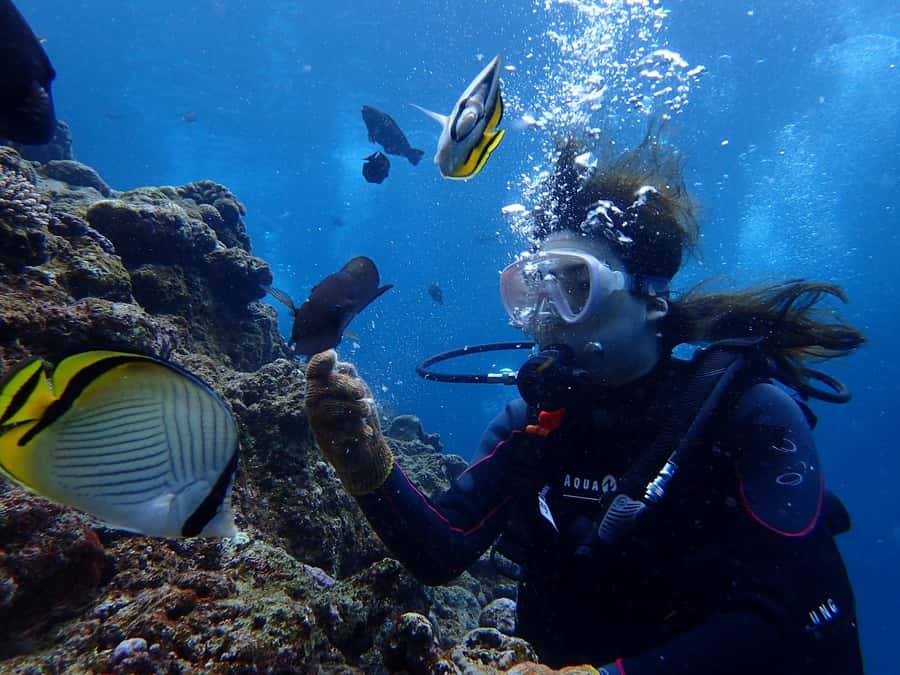 Onna: Blue Cave Snorkeling from Catamaran - Who will enjoy this most