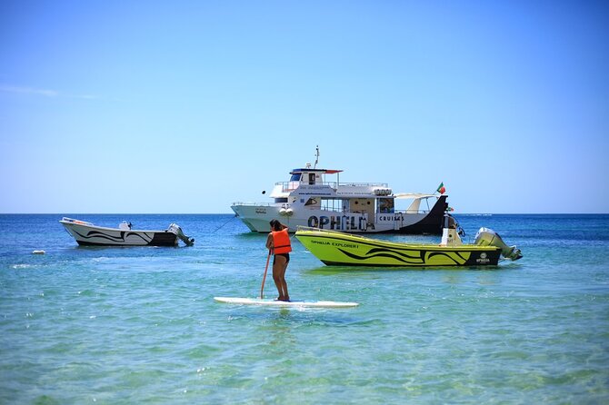 Ophelia Catamaran Cruises + Beach BBQ - Seeing the Benagil Caves from a smaller boat