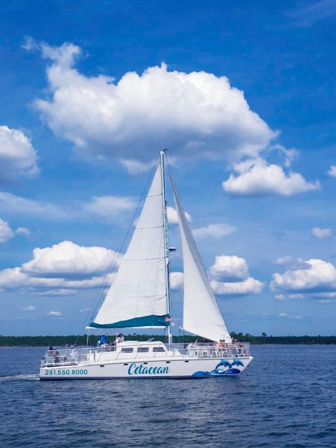 Orange Beach: Dolphin & Sailing Cruise Aboard 52' Catamaran - Setting sail from Orange Beach and Wolf Bay
