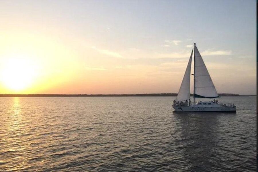 Orange Beach: Dolphin & Sailing Cruise Aboard 52' Catamaran - The 90-minute route, from departure to return