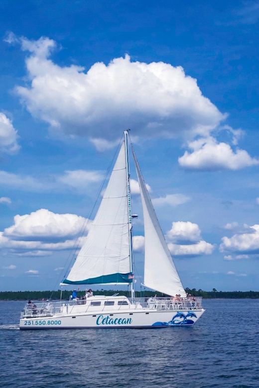 Orange Beach: Dolphin & Sailing Cruise Aboard 52' Catamaran - Onboard drinks, snacks, and the service question