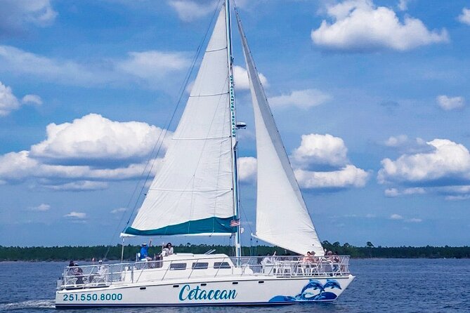 Orange Beach Dolphin Sailing Cruise aboard Catamaran - Searching for dolphins in the bay