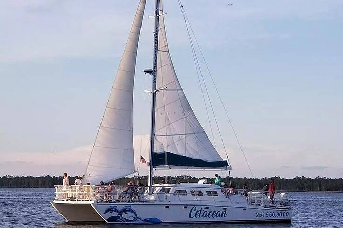 Orange Beach Dolphin Sailing Cruise aboard Catamaran - Is $50 a fair price?