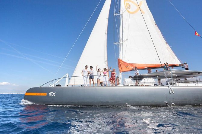 Palma Bay Catamaran Half-Day Cruise - A buffet lunch with more than basic picnic fare