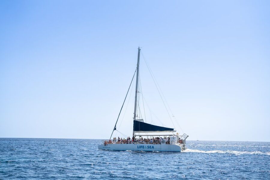 Palma: Catamaran Cruise with Swimming and Snorkelling - The swimming stop is the heart of the trip