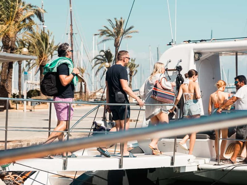 Palma de Mallorca: Half-Day Catamaran Tour with Buffet Meal - Leaving Palma for a day on the Bay