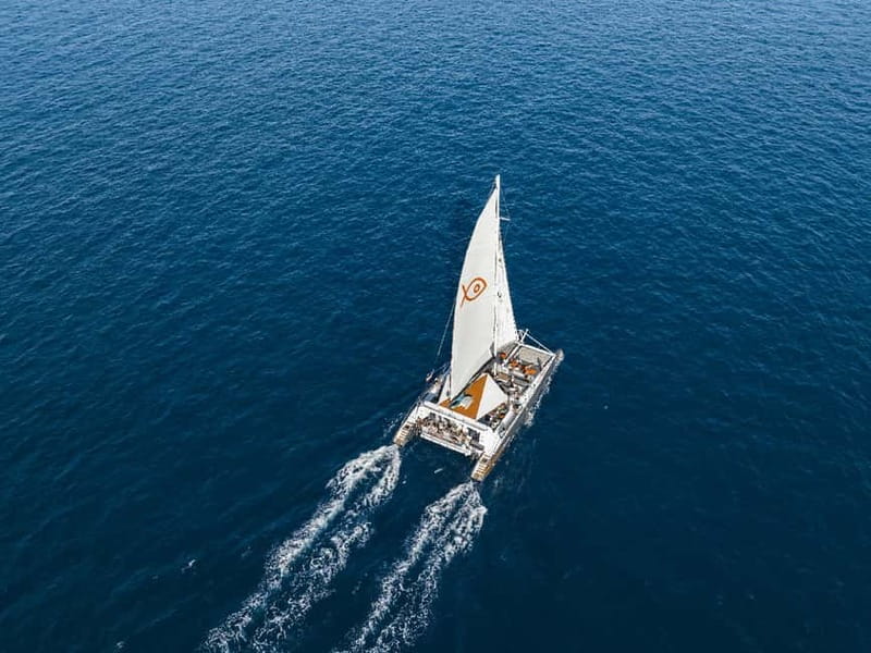 Palma de Mallorca: Half-Day Catamaran Tour with Buffet Meal - Sailing conditions and the route south