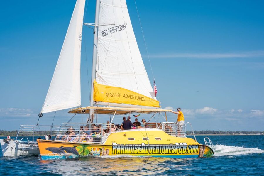 Panama City Beach: Dolphin Sightseeing Trip by Catamaran - What the 90-minute Footloose cruise is really like