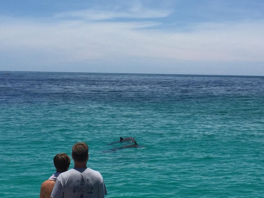 Panama City Beach: Dolphin Sightseeing Trip by Catamaran - Music, drinks, and the pace on board