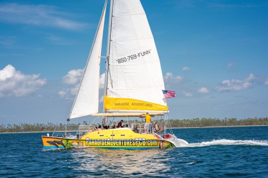 Panama City Beach: Dolphin Sightseeing Trip by Catamaran - Should you book the Footloose dolphin cruise?