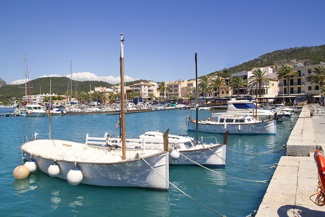 Paradise 4h Catamaran Tour of Mallorca and Puerto Andratx - Camp de Mar: a second chance to swim