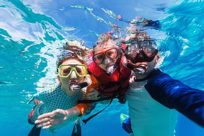 Party Boat Catamaran with Snorkeling from Punta Cana - The dolphin stop is a brief look, not a dolphin encounter