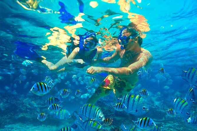 Party Boat Catamaran with Snorkeling from Punta Cana - The family question: fun for some, unsuitable for others