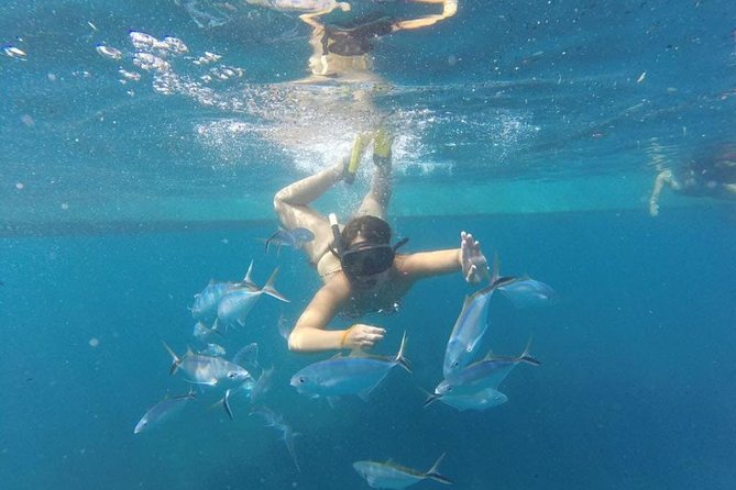 Party boat in Catamaran with Open Bar Only Adults + Snorkeling - Pickup details that can shape your afternoon