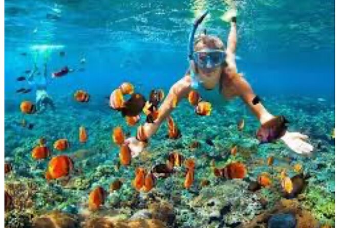 Party Catamaran and Snorkeling Tour in Montego Bay - Music, cocktails, and the social side