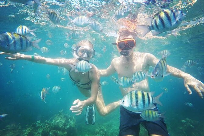 Party Catamaran Cruise with Open Bar and Snorkeling Montego Bay - Open bar, snacks, and the birthday factor