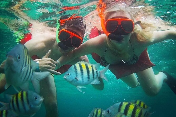 Party Catamaran Cruise with Open Bar and Snorkeling Montego Bay - Three hours of coast, music, and movement