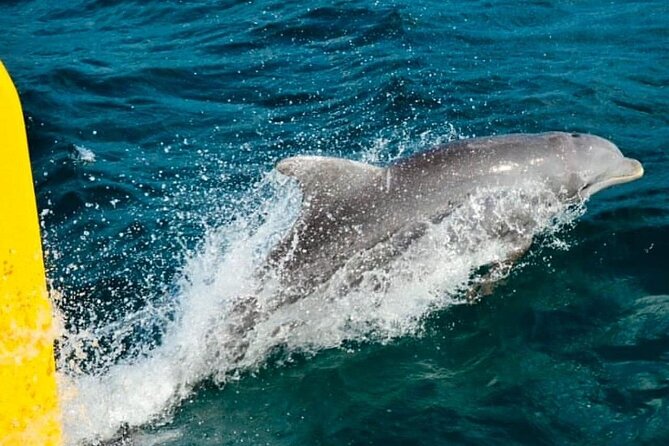 PARTY Catamaran Cruise with Snorkeling Rick's Cafe ADULTS ONLY - Safety, comfort, and what to pack