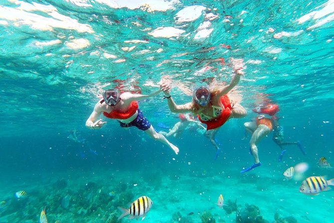 Party Catamaran: OpenBar, Music, Negril Beach, Caves, Snorkeling - Boarding the catamaran means wading into the sea