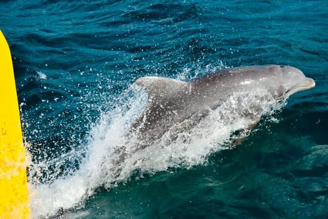 Party Catamaran: OpenBar, Music, Negril Beach, Caves, Snorkeling - Arriving at Rick’s Cafe by boat