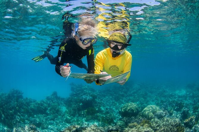 Passions of Paradise Great Barrier Reef Cruise by Catamaran - Scuba options, with important medical rules