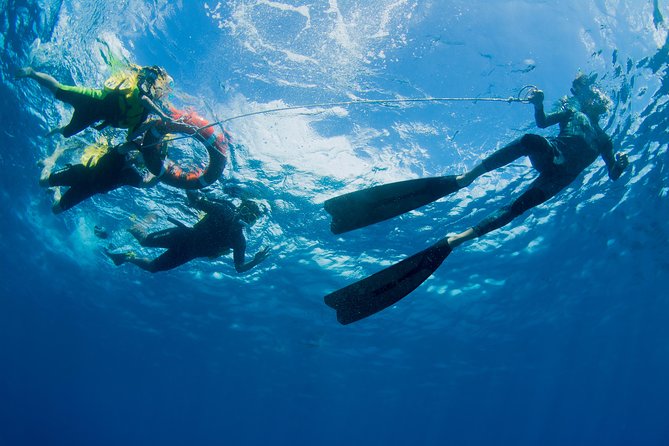 Passions of Paradise Great Barrier Reef Cruise by Catamaran - Reef education gives the day more meaning