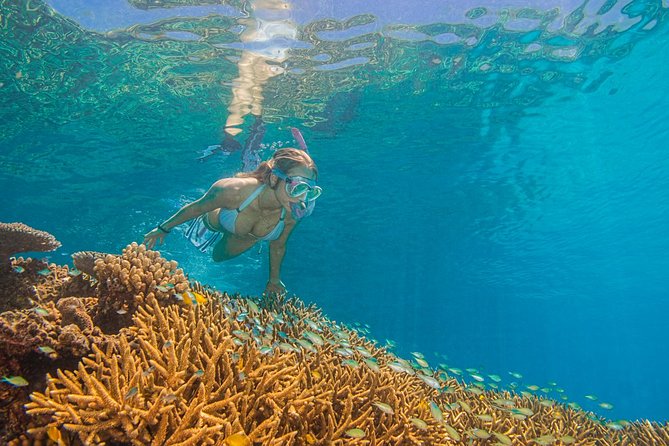 Passions of Paradise Great Barrier Reef Cruise by Catamaran - What the $192.94 price includes
