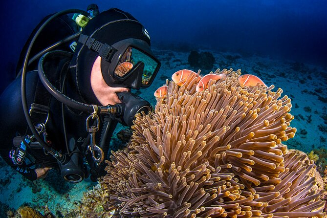 Passions of Paradise Great Barrier Reef Cruise by Catamaran - Should you book Passions of Paradise?
