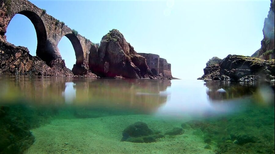 Peniche: Berlengas Island Catamaran Tour + Snorkeling - Who will enjoy this outing most